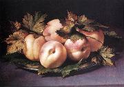 Still-life with Peaches and Fig-leaves fdg